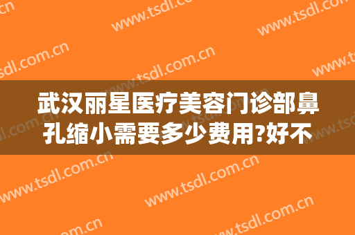 武汉丽星医疗美容门诊部鼻孔缩小需要多少费用?好不好?(上海丽星医美权威整形机构)