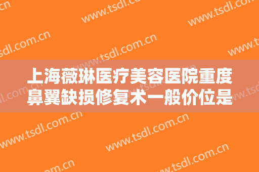 上海薇琳医疗美容医院重度鼻翼缺损修复术一般价位是多少费用?贵不贵?