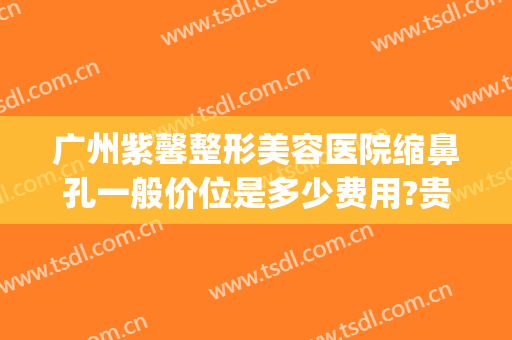 广州紫馨整形美容医院缩鼻孔一般价位是多少费用?贵不贵?(紫 馨广州三级外科鼻子整形的医院)