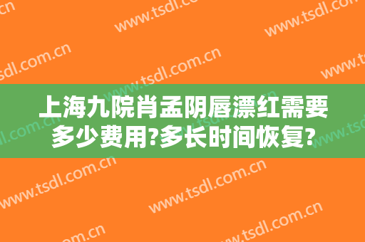 上海九院肖孟阴唇漂红需要多少费用?多长时间恢复?