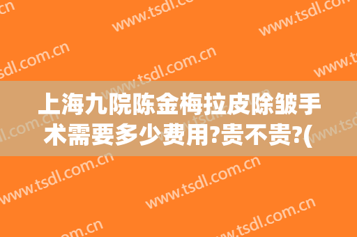 上海九院陈金梅拉皮除皱手术需要多少费用?贵不贵?(上海九院做面部拉皮手术多少钱)