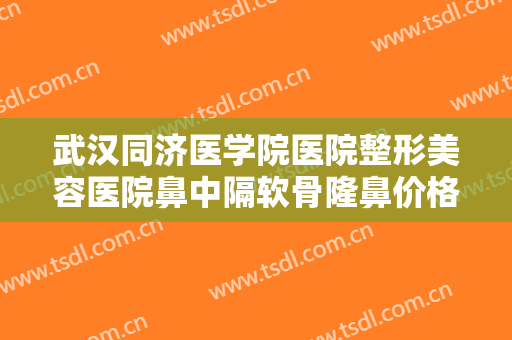 武汉同济医学院医院整形美容医院鼻中隔软骨隆鼻价格多少钱?好不好?