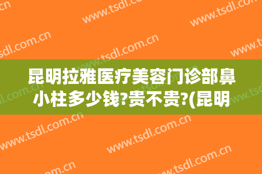 昆明拉雅医疗美容门诊部鼻小柱多少钱?贵不贵?(昆明做鼻子有名的医生)