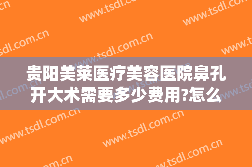 贵阳美莱医疗美容医院鼻孔开大术需要多少费用?怎么样?(贵阳莱美医疗整形)