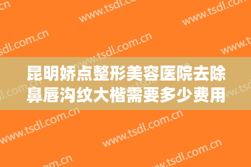 昆明娇点整形美容医院去除鼻唇沟纹大楷需要多少费用?怎么样?(昆明娇点整形美容医院好不好)