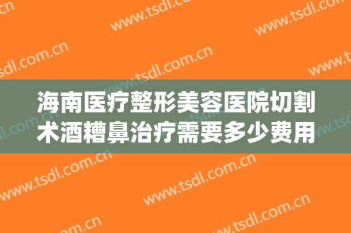 海南医疗整形美容医院切割术酒糟鼻治疗需要多少费用?贵不贵?(酒糟鼻切割术哪里可以做)