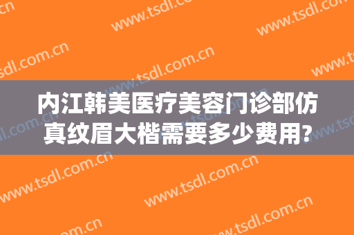 内江韩美医疗美容门诊部仿真纹眉大楷需要多少费用?多长时间恢复?(内江韩美医疗美容门诊部优惠)
