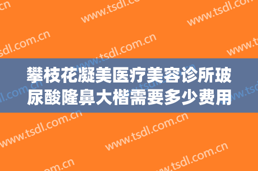 攀枝花凝美医疗美容诊所玻尿酸隆鼻大楷需要多少费用?靠谱吗?(攀枝花整容费用)