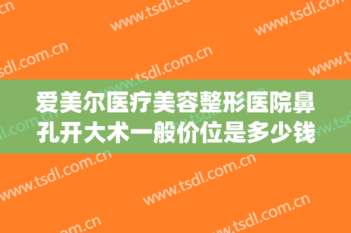 爱美尔医疗美容整形医院鼻孔开大术一般价位是多少钱?贵不贵?(医美整形鼻子多少钱)