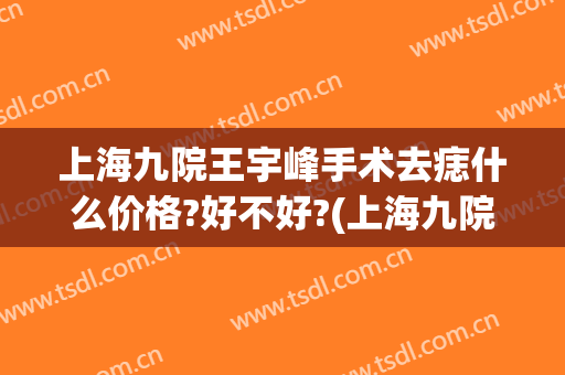 上海九院王宇峰手术去痣什么价格?好不好?(上海九院手术祛痣价目)