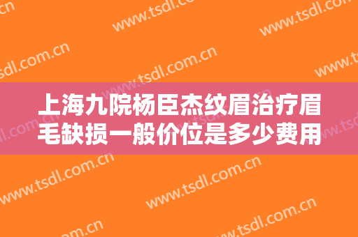 上海九院杨臣杰纹眉治疗眉毛缺损一般价位是多少费用?有哪些优势?