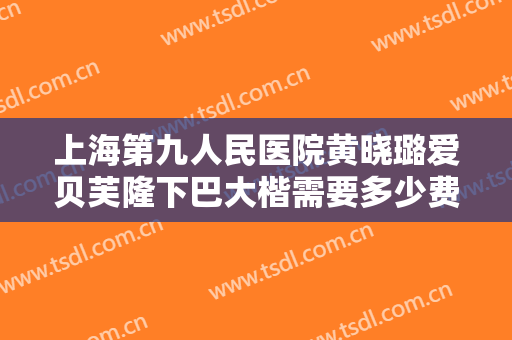 上海第九人民医院黄晓璐爱贝芙隆下巴大楷需要多少费用?好不好?