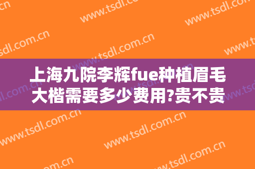 上海九院李辉fue种植眉毛大楷需要多少费用?贵不贵?
