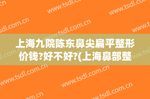 上海九院陈东鼻尖扁平整形价钱?好不好?(上海鼻部整形医院)