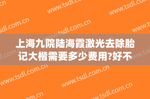 上海九院陆海霞激光去除胎记大楷需要多少费用?好不好?(上海九院大面积的胎记多少钱)