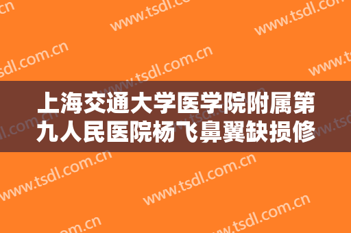 上海交通大学医学院附属第九人民医院杨飞鼻翼缺损修复术一般价位是多少?怎么样?