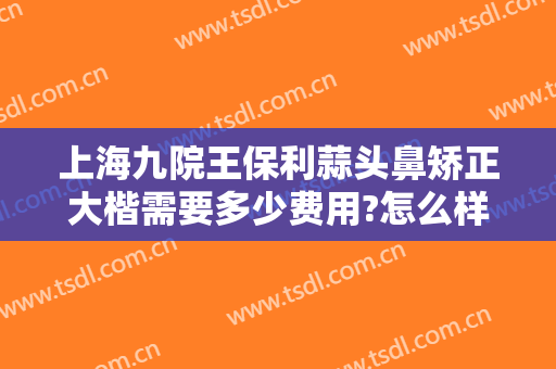 上海九院王保利蒜头鼻矫正大楷需要多少费用?怎么样?