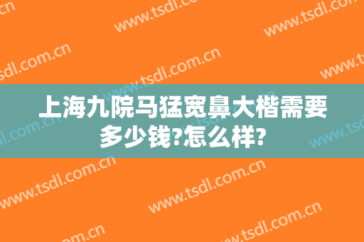 上海九院马猛宽鼻大楷需要多少钱?怎么样?