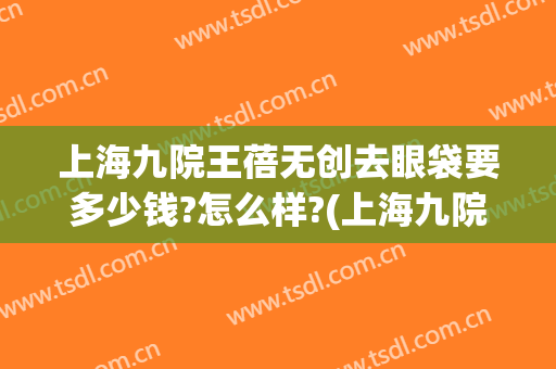 上海九院王蓓无创去眼袋要多少钱?怎么样?(上海九院 开眼袋)