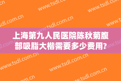 上海第九人民医院陈秋菊腹部吸脂大楷需要多少费用?可靠吗?(上海九院腰腹吸脂价格)