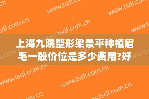 上海九院整形梁景平种植眉毛一般价位是多少费用?好不好?(上海九院植眉医生哪个好?)