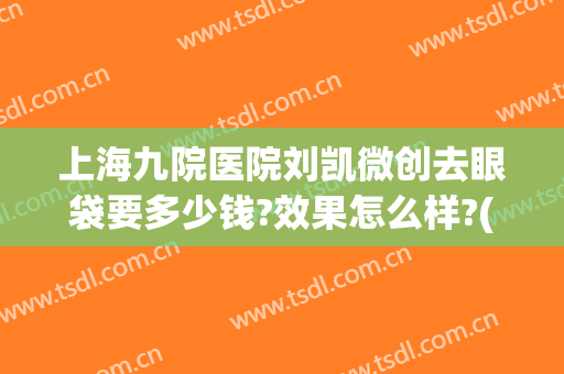 上海九院医院刘凯微创去眼袋要多少钱?效果怎么样?(上海九院哪个医生割眼袋好)