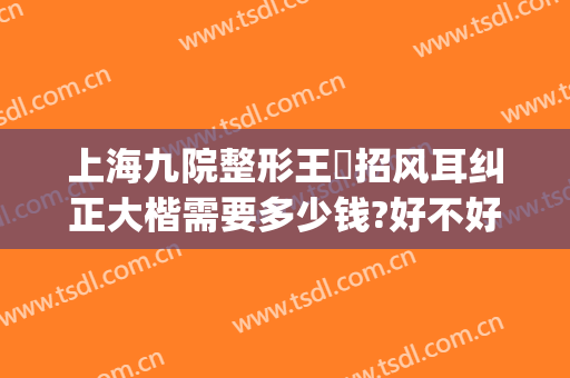 上海九院整形王棽招风耳纠正大楷需要多少钱?好不好?(上海九院招风耳整形有谁做过)