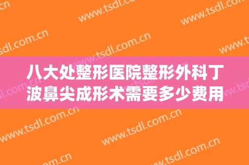 八大处整形医院整形外科丁波鼻尖成形术需要多少费用?效果怎么样?(整容整形外科)