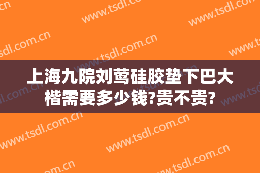 上海九院刘莺硅胶垫下巴大楷需要多少钱?贵不贵?