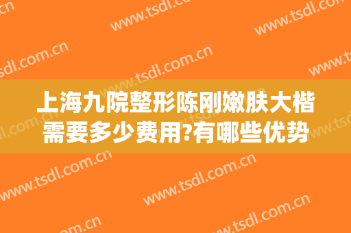 上海九院整形陈刚嫩肤大楷需要多少费用?有哪些优势?(上海整容医院九院整容多少钱)