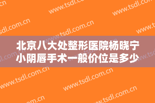 北京八大处整形医院杨晓宁小阴唇手术一般价位是多少?怎么样?
