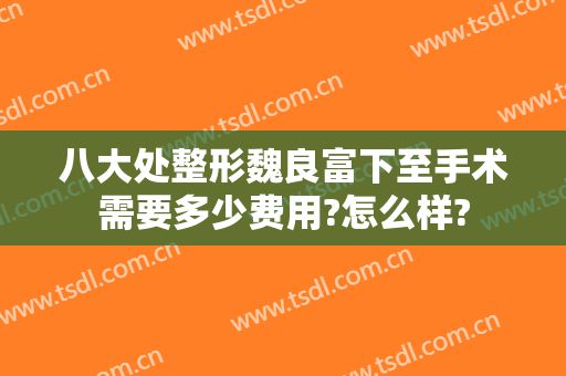 八大处整形魏良富下至手术需要多少费用?怎么样?
