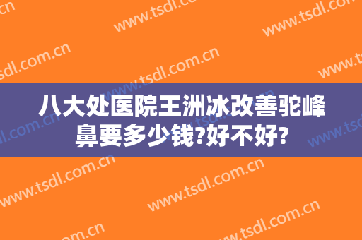 八大处医院王洲冰改善驼峰鼻要多少钱?好不好?