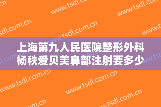 上海第九人民医院整形外科杨秩爱贝芙鼻部注射要多少钱?贵不贵?