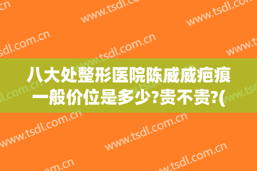 八大处整形医院陈威威疤痕一般价位是多少?贵不贵?(整形医院去疤痕价格)