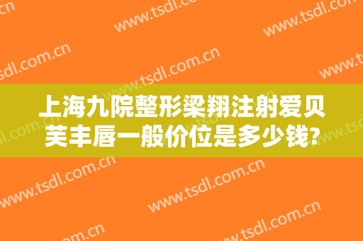 上海九院整形梁翔注射爱贝芙丰唇一般价位是多少钱?贵不贵?
