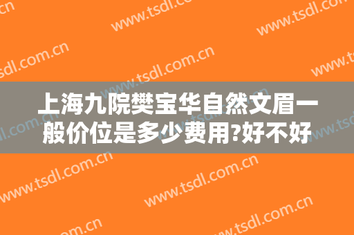 上海九院樊宝华自然文眉一般价位是多少费用?好不好?