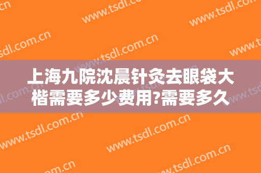 上海九院沈晨针灸去眼袋大楷需要多少费用?需要多久恢复?