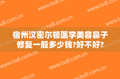 宿州汉密尔顿医学美容鼻子修复一般多少钱?好不好?
