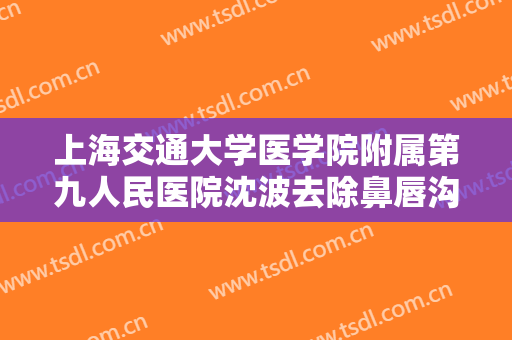 上海交通大学医学院附属第九人民医院沈波去除鼻唇沟纹价格多少钱?贵不贵?