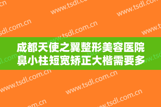 成都天使之翼整形美容医院鼻小柱短宽矫正大楷需要多少费用?靠谱吗?
