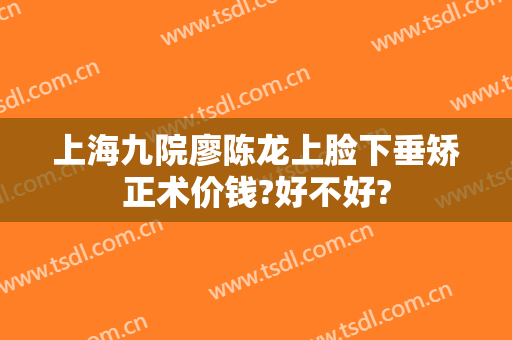 上海九院廖陈龙上脸下垂矫正术价钱?好不好?