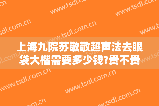 上海九院苏敬敬超声法去眼袋大楷需要多少钱?贵不贵?