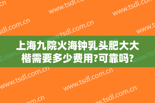 上海九院火海钟乳头肥大大楷需要多少费用?可靠吗?