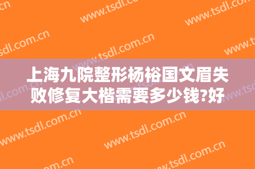 上海九院整形杨裕国文眉失败修复大楷需要多少钱?好不好?