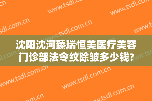 沈阳沈河臻瑞恒美医疗美容门诊部法令纹除皱多少钱?贵不贵?