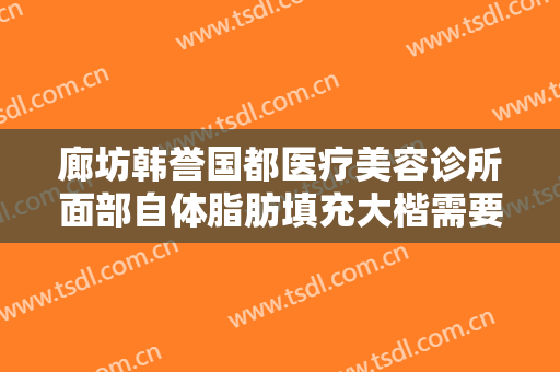 廊坊韩誉国都医疗美容诊所面部自体脂肪填充大楷需要多少费用?可靠吗?