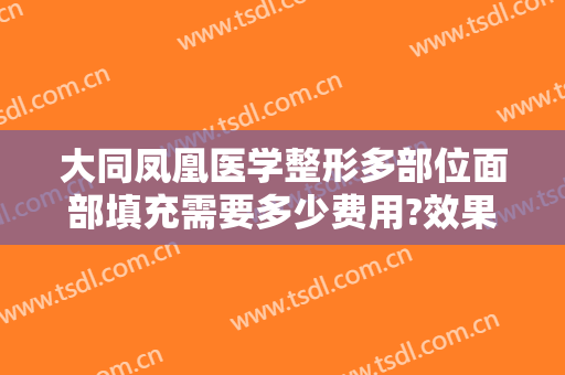大同凤凰医学整形多部位面部填充需要多少费用?效果怎么样?
