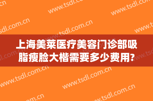上海美莱医疗美容门诊部吸脂瘦脸大楷需要多少费用?怎么样?(上海面部吸脂多少钱)