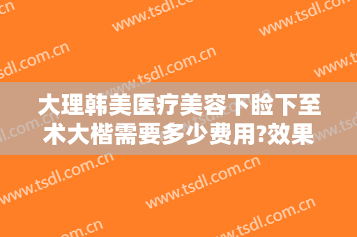 大理韩美医疗美容下睑下至术大楷需要多少费用?效果怎么样?